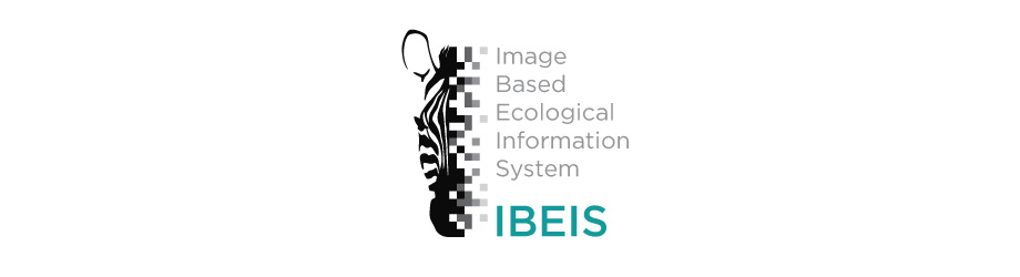 IBEIS Logo Banner Wide - Web